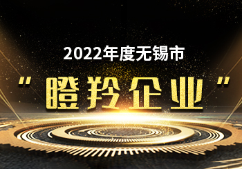 江蘇潤(rùn)石入選無錫市“瞪羚企業(yè)”