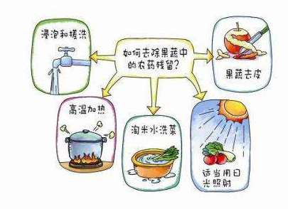 如何減少農(nóng)藥污染去除農(nóng)藥殘留？振華化工總結(jié)以下幾點(diǎn)分享給大家